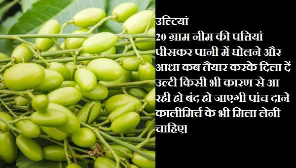 नीम का उलटी में फायदा